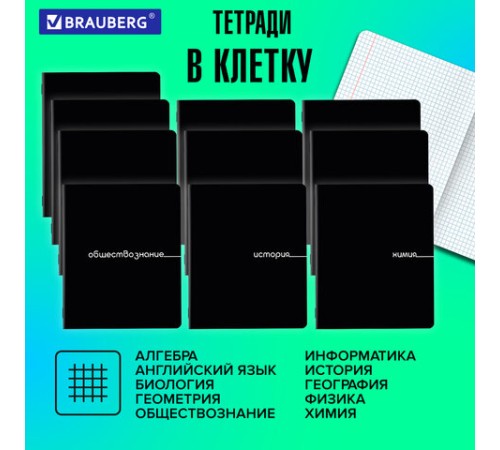 Тетради предметные, КОМПЛЕКТ 12 ПРЕДМЕТОВ, 48 л., обложка картон, BRAUBERG 