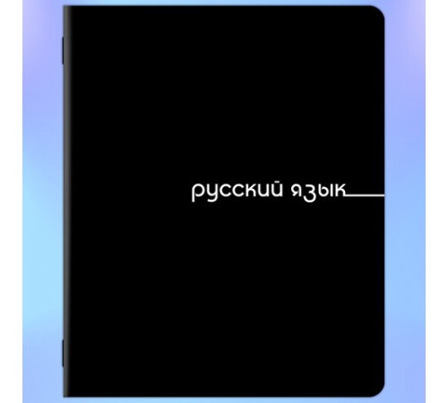Тетради предметные, КОМПЛЕКТ 12 ПРЕДМЕТОВ, 48 л., обложка картон, BRAUBERG 