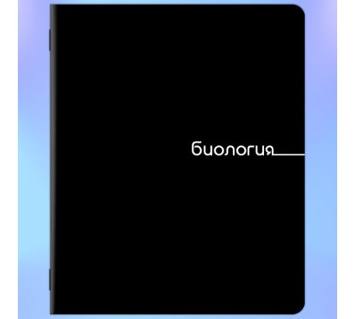 Тетради предметные, КОМПЛЕКТ 12 ПРЕДМЕТОВ, 48 л., обложка картон, BRAUBERG 