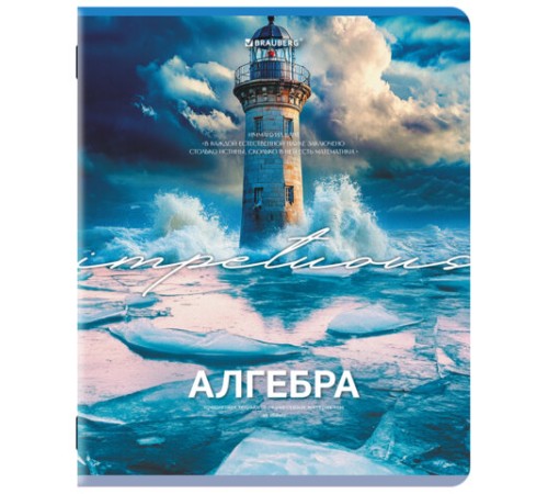 Тетради предметные, КОМПЛЕКТ 13 ПРЕДМЕТОВ, 48 л., обложка картон, BRAUBERG 