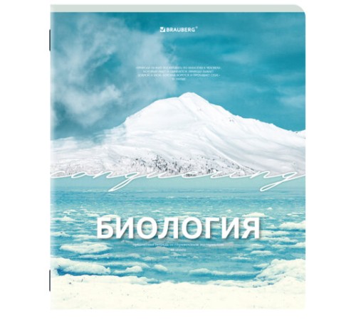 Тетради предметные, КОМПЛЕКТ 13 ПРЕДМЕТОВ, 48 л., обложка картон, BRAUBERG 