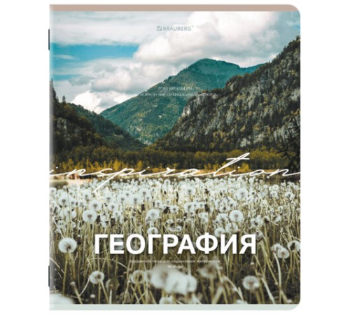 Тетради предметные, КОМПЛЕКТ 13 ПРЕДМЕТОВ, 48 л., обложка картон, BRAUBERG 