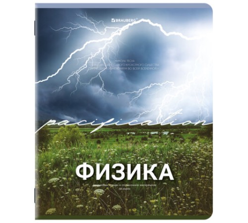 Тетради предметные, КОМПЛЕКТ 13 ПРЕДМЕТОВ, 48 л., обложка картон, BRAUBERG 