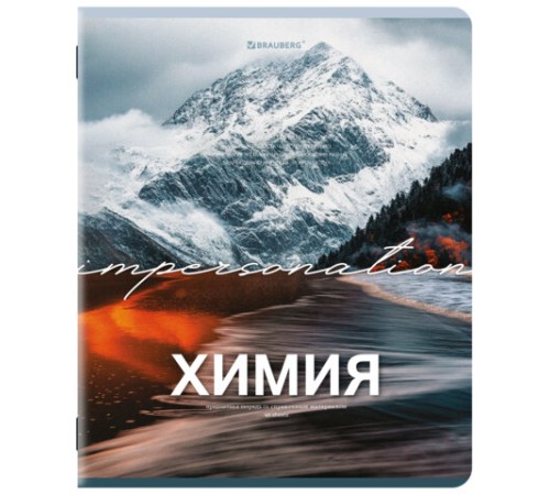 Тетради предметные, КОМПЛЕКТ 13 ПРЕДМЕТОВ, 48 л., обложка картон, BRAUBERG 