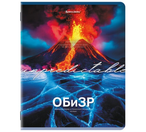 Тетради предметные, КОМПЛЕКТ 13 ПРЕДМЕТОВ, 48 л., обложка картон, BRAUBERG 