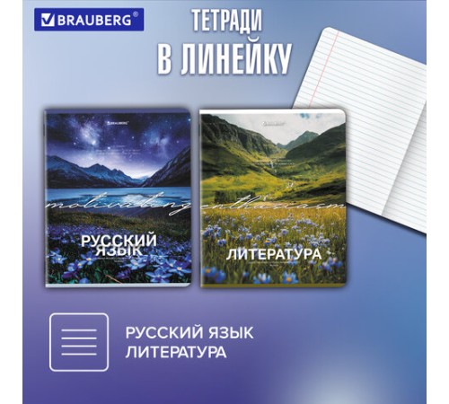 Тетради предметные, КОМПЛЕКТ 13 ПРЕДМЕТОВ, 48 л., обложка картон, BRAUBERG 