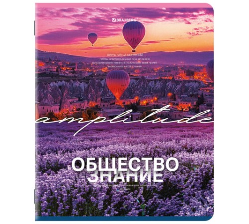 Тетради предметные, КОМПЛЕКТ 13 ПРЕДМЕТОВ, 48 л., обложка картон, BRAUBERG 