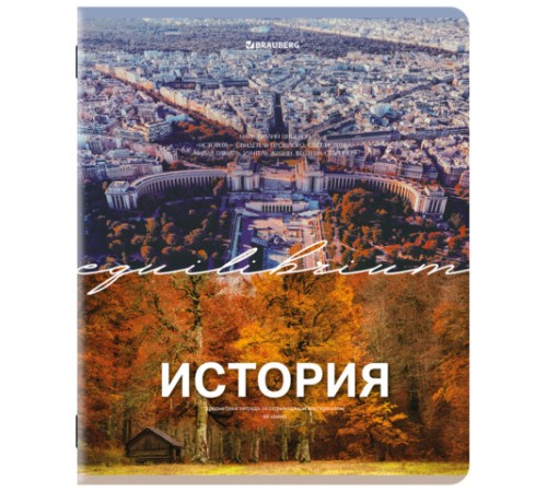 Тетради предметные, КОМПЛЕКТ 13 ПРЕДМЕТОВ, 48 л., обложка картон, BRAUBERG 