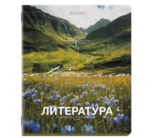 Тетради предметные, КОМПЛЕКТ 13 ПРЕДМЕТОВ, 48 л., обложка картон, BRAUBERG 