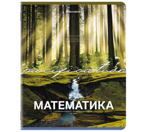 Тетради предметные, КОМПЛЕКТ 13 ПРЕДМЕТОВ, 48 л., обложка картон, BRAUBERG 