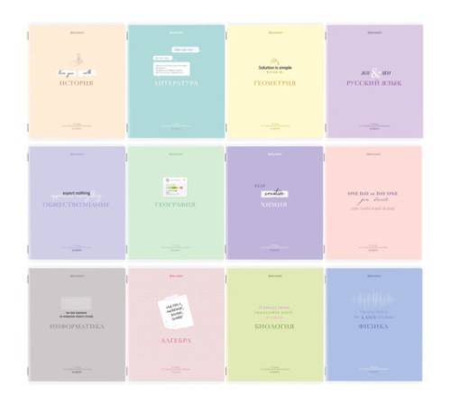 Тетради предметные, КОМПЛЕКТ 12 ПРЕДМЕТОВ, 48 л., обложка картон, BRAUBERG 