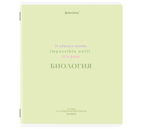 Тетради предметные, КОМПЛЕКТ 12 ПРЕДМЕТОВ, 48 л., обложка картон, BRAUBERG 