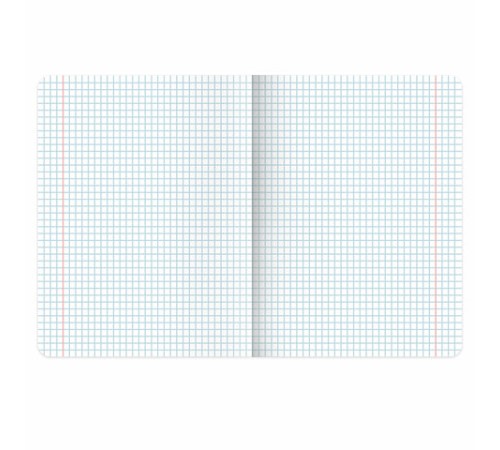 Тетради предметные, КОМПЛЕКТ 12 ПРЕДМЕТОВ, 48 л., обложка картон, BRAUBERG 