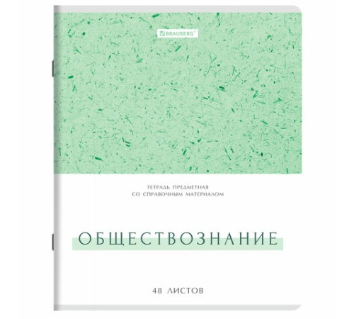 Тетради предметные, КОМПЛЕКТ 12 ПРЕДМЕТОВ, 48 л., обложка картон, BRAUBERG 