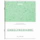 Тетради предметные, КОМПЛЕКТ 12 ПРЕДМЕТОВ, 48 л., обложка картон, BRAUBERG 