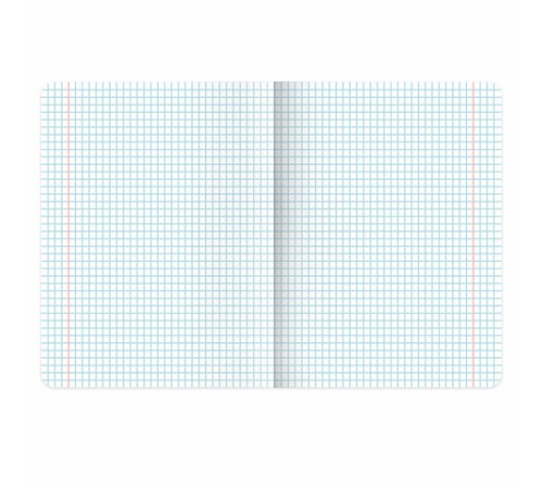 Тетради предметные, КОМПЛЕКТ 12 ПРЕДМЕТОВ, 48 л., обложка картон, BRAUBERG 