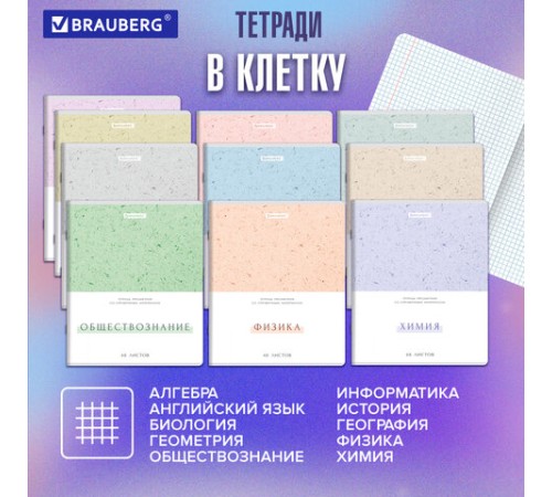 Тетради предметные, КОМПЛЕКТ 12 ПРЕДМЕТОВ, 48 л., обложка картон, BRAUBERG 