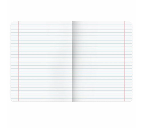 Тетради предметные, КОМПЛЕКТ 12 ПРЕДМЕТОВ, 48 л., глянцевый УФ-лак, BRAUBERG 