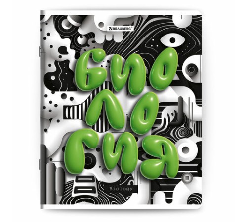 Тетради предметные, КОМПЛЕКТ 12 ПРЕДМЕТОВ, 48 л., глянцевый УФ-лак, BRAUBERG 