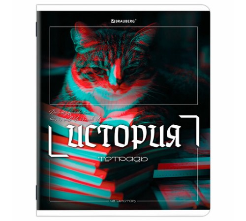 Тетради предметные, КОМПЛЕКТ 12 ПРЕДМЕТОВ, 48 л., глянцевый УФ-лак, BRAUBERG 