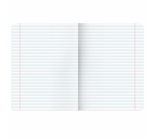 Тетради предметные, КОМПЛЕКТ 12 ПРЕДМЕТОВ, 48 л., глянцевый УФ-лак, BRAUBERG 