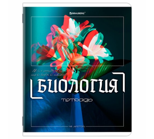 Тетради предметные, КОМПЛЕКТ 12 ПРЕДМЕТОВ, 48 л., глянцевый УФ-лак, BRAUBERG 