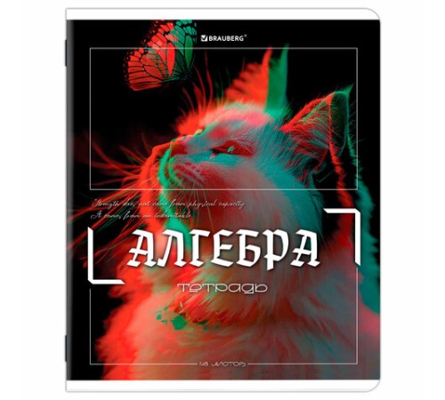 Тетради предметные, КОМПЛЕКТ 12 ПРЕДМЕТОВ, 48 л., глянцевый УФ-лак, BRAUBERG 