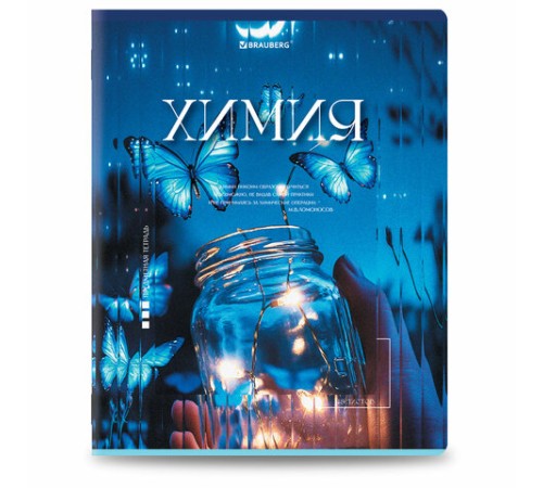 Тетради предметные, КОМПЛЕКТ 12 ПРЕДМЕТОВ, 48 л., глянцевый УФ-лак, BRAUBERG 