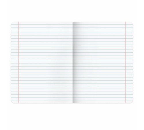 Тетради предметные, КОМПЛЕКТ 12 ПРЕДМЕТОВ, 48 л., глянцевый УФ-лак, BRAUBERG 