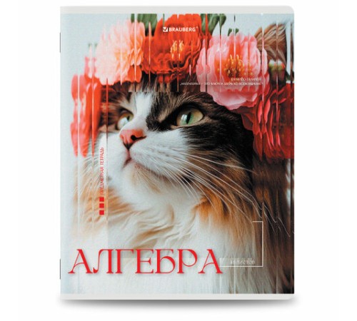 Тетради предметные, КОМПЛЕКТ 12 ПРЕДМЕТОВ, 48 л., глянцевый УФ-лак, BRAUBERG 