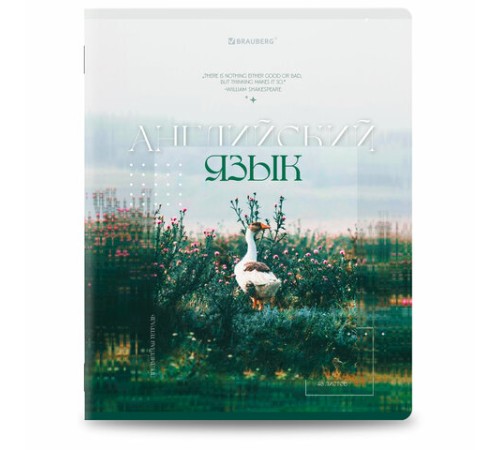 Тетради предметные, КОМПЛЕКТ 12 ПРЕДМЕТОВ, 48 л., глянцевый УФ-лак, BRAUBERG 