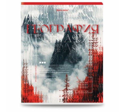 Тетради предметные, КОМПЛЕКТ 12 ПРЕДМЕТОВ, 48 л., глянцевый УФ-лак, BRAUBERG 