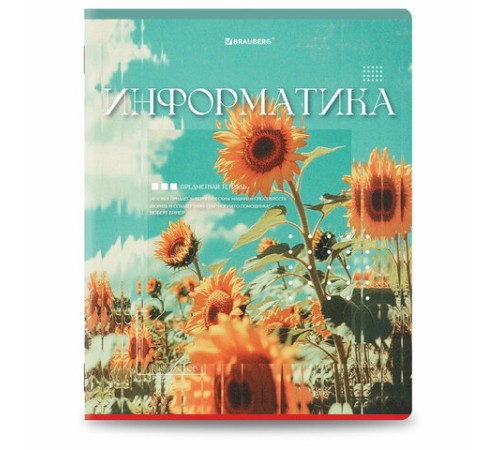Тетради предметные, КОМПЛЕКТ 12 ПРЕДМЕТОВ, 48 л., глянцевый УФ-лак, BRAUBERG 