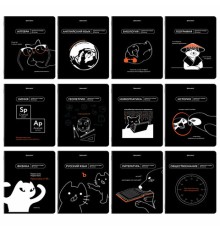 Тетради предметные, КОМПЛЕКТ 12 ПРЕДМЕТОВ, 48 л., TWIN лак, BRAUBERG 