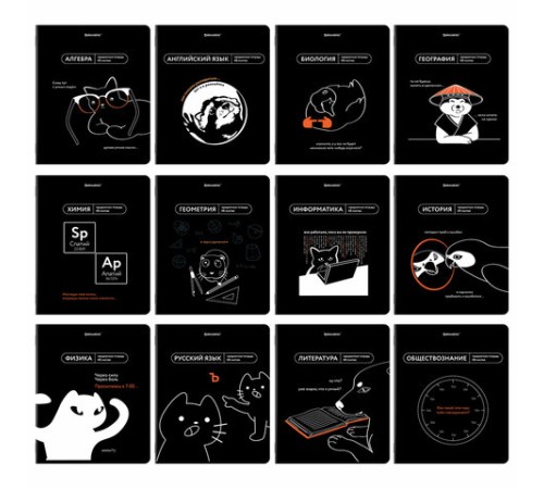 Тетради предметные, КОМПЛЕКТ 12 ПРЕДМЕТОВ, 48 л., TWIN лак, BRAUBERG 