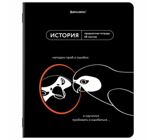 Тетради предметные, КОМПЛЕКТ 12 ПРЕДМЕТОВ, 48 л., TWIN лак, BRAUBERG 
