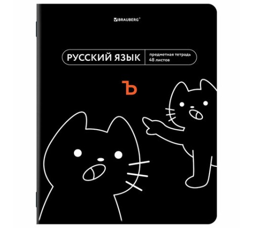 Тетради предметные, КОМПЛЕКТ 12 ПРЕДМЕТОВ, 48 л., TWIN лак, BRAUBERG 