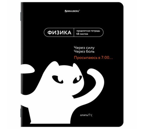 Тетради предметные, КОМПЛЕКТ 12 ПРЕДМЕТОВ, 48 л., TWIN лак, BRAUBERG 
