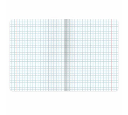 Тетради предметные, КОМПЛЕКТ 12 ПРЕДМЕТОВ, 48 л., TWIN лак, BRAUBERG 