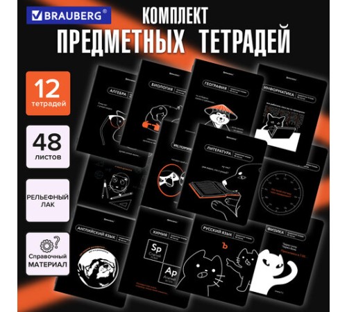 Тетради предметные, КОМПЛЕКТ 12 ПРЕДМЕТОВ, 48 л., TWIN лак, BRAUBERG 