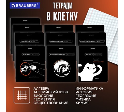 Тетради предметные, КОМПЛЕКТ 12 ПРЕДМЕТОВ, 48 л., TWIN лак, BRAUBERG 
