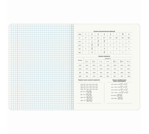 Тетради предметные, КОМПЛЕКТ 12 ПРЕДМЕТОВ, 48 л., TWIN лак, BRAUBERG 