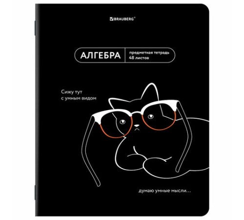 Тетради предметные, КОМПЛЕКТ 12 ПРЕДМЕТОВ, 48 л., TWIN лак, BRAUBERG 