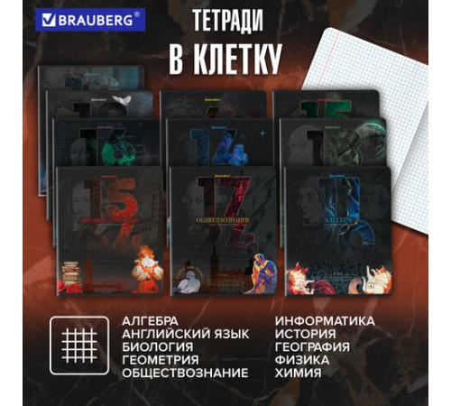 Тетради предметные, КОМПЛЕКТ 12 ПРЕДМЕТОВ, 48 л., TWIN лак, BRAUBERG 