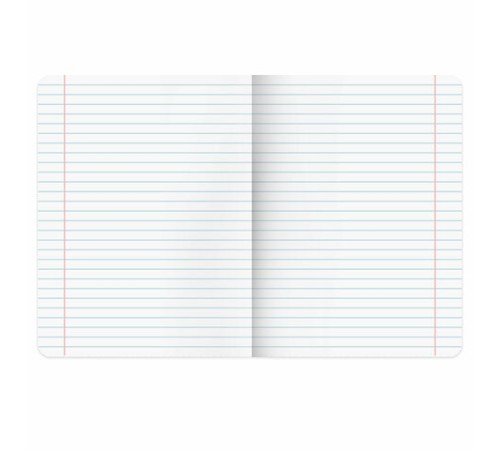 Тетради предметные, КОМПЛЕКТ 12 ПРЕДМЕТОВ, 48 л., TWIN лак, BRAUBERG 