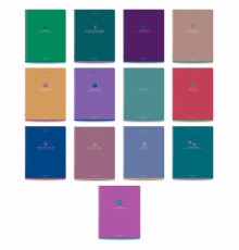 Тетради предметные, КОМПЛЕКТ 13 ПРЕДМЕТОВ, 48 л., матовая ламинация, BRAUBERG 