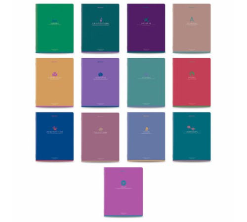 Тетради предметные, КОМПЛЕКТ 13 ПРЕДМЕТОВ, 48 л., матовая ламинация, BRAUBERG 