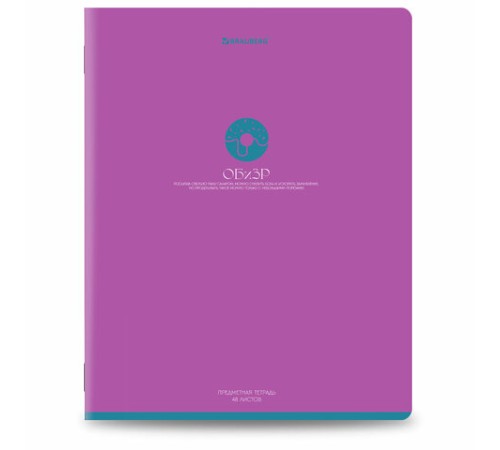 Тетради предметные, КОМПЛЕКТ 13 ПРЕДМЕТОВ, 48 л., матовая ламинация, BRAUBERG 