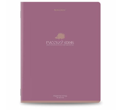 Тетради предметные, КОМПЛЕКТ 13 ПРЕДМЕТОВ, 48 л., матовая ламинация, BRAUBERG 