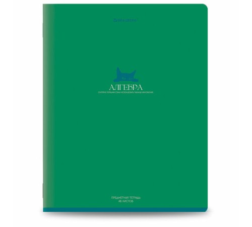Тетради предметные, КОМПЛЕКТ 13 ПРЕДМЕТОВ, 48 л., матовая ламинация, BRAUBERG 